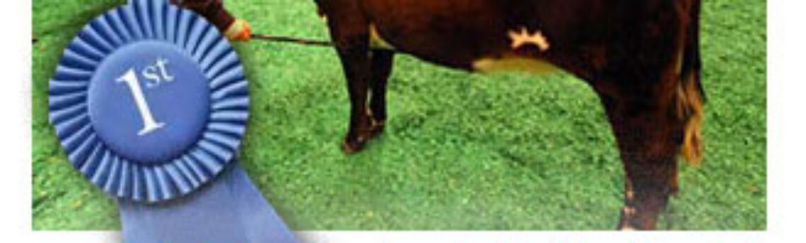 Clarke County Fair Schedule of Events