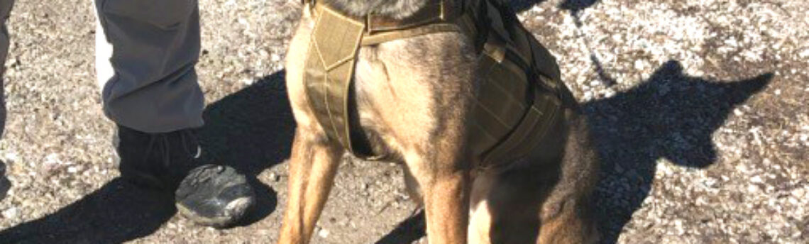 CCDC Helps Clarke County Sheriff K-9 Unit Hit the Ground Running