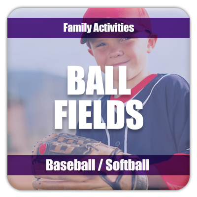 baseball and softball fields in osceola
