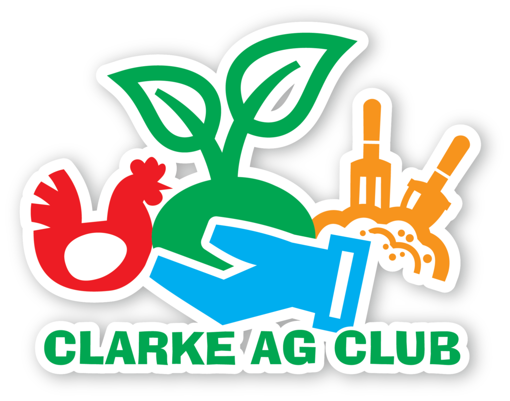 Clarke Elementary Ag Club