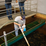 osceola water treatment