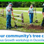 osceola iowa tree canopy workshop