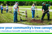 osceola iowa tree canopy workshop