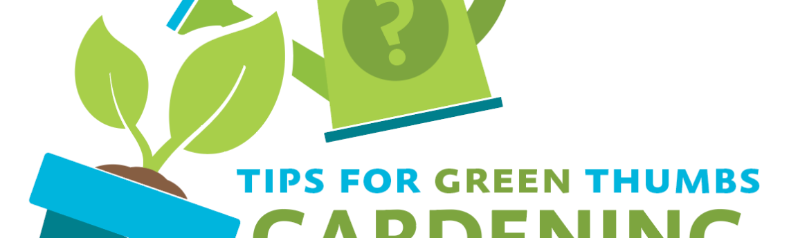 Spring Has Sprung – Creative Gardening While Conserving Water