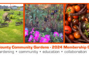 Clarke County Community Gardens Kick off Spring and New Membership Drive