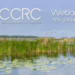clarke county reservoir commission wetlands mitigation