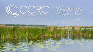 clarke county reservoir commission wetlands mitigation