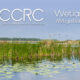 clarke county reservoir commission wetlands mitigation