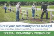 SPECIAL COMMUNITY WORKSHOP - Grow Your Community’s Tree Canopy