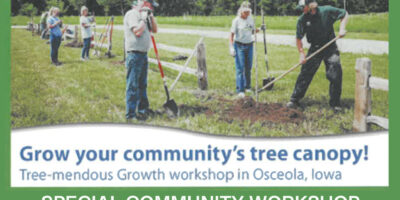 SPECIAL COMMUNITY WORKSHOP - Grow Your Community’s Tree Canopy