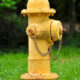 Osceola fire hydrant flush