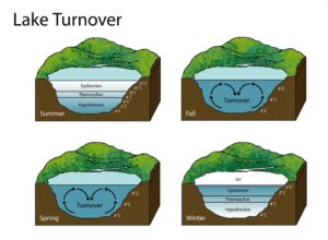 osceola water - west lake taste turn over 