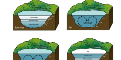 osceola water - west lake taste turn over