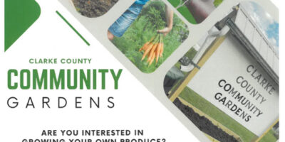 clarke community gardens information for 2026